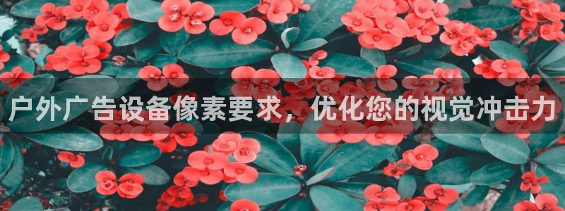 杏宇平台总代理是谁