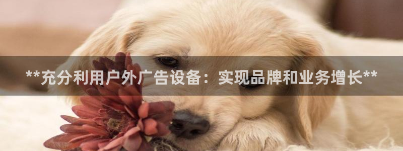 杏宇平台代理多少钱一次：**充分利用户外广告设备：实现品牌和业务增长**