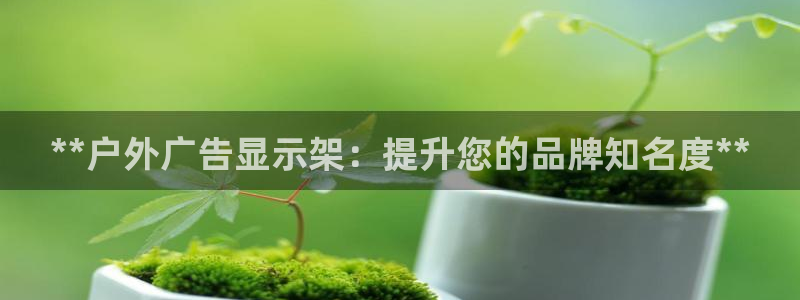 杏宇官方平台官网入口：**户外广告显示架：提升您的品牌知名度**