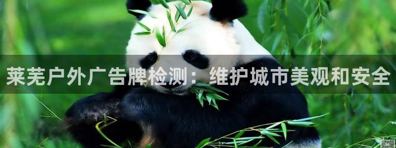杏宇平台是什么：莱芜户外广告牌检测：维护城市美观和安全