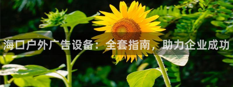 杏宇平台怎么样知乎：海口户外广告设备：全套指南，助力企业成功