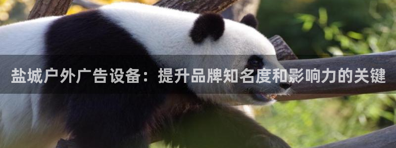 杏宇平台代理多少钱一个月：盐城户外广告设备：提升品牌知名度和影响力的关键