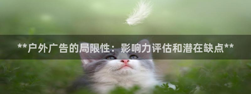杏宇平台官网注册：**户外广告的局限性：影响力评估和潜在缺点**