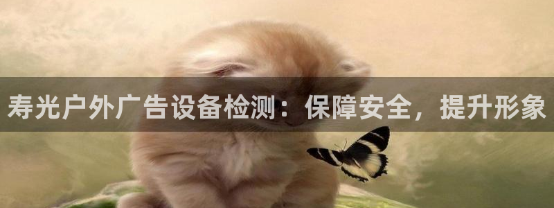 杏宇官方平台官网