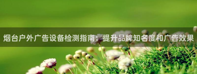 杏宇平台注册地址：烟台户外广告设备检测指南：提升品牌知名度和广告效果