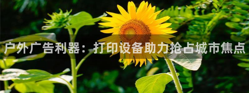 杏宇平台官网注册
