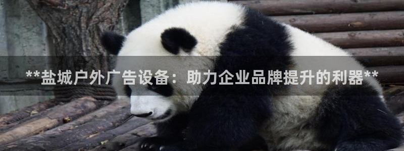 杏宇平台代理怎么赚钱的