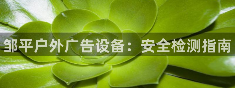 杏宇平台登录步骤是什么