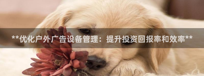 杏宇平台代理多少钱一次：**优化户外广告设备管理：提升投资回报率和效率**