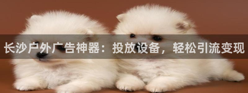 杏宇平台代理怎么样赚钱