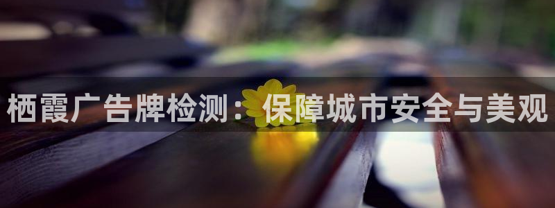 杏宇平台测速链接