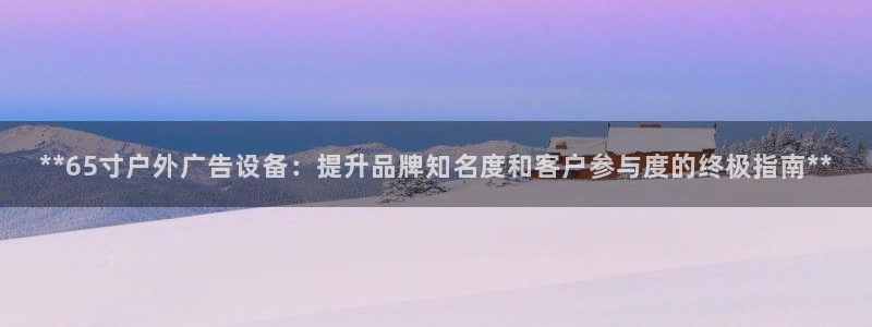 杏宇平台代理多少钱一个：**65寸户外广告设备：提升品牌知名度和客户参与度的终极指南**