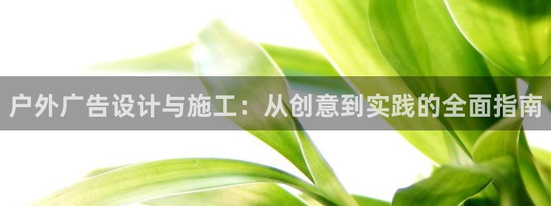 杏宇平台代理多少钱：户外广告设计与施工：从创意到实践的全面指南