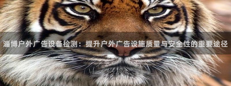 杏宇平台好吗：淄博户外广告设备检测：提升户外广告设施质量与安全性的重要途径