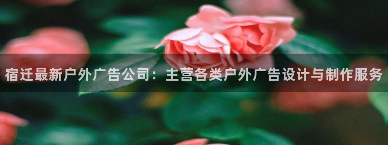 杏宇平台登录步骤图：宿迁最新户外广告公司：主营各类户外广告设计与制作服务