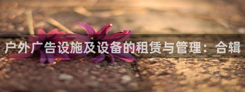 杏宇平台测速链接：户外广告设施及设备的租赁与管理：合辑