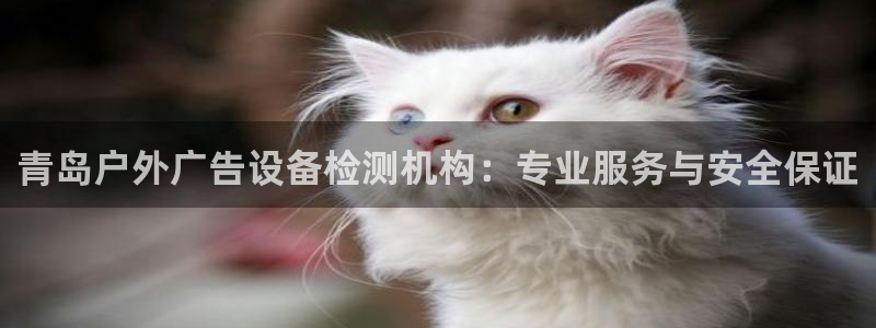 杏宇平台注册地址在哪里：青岛户外广告设备检测机构：专业服务与安全保证