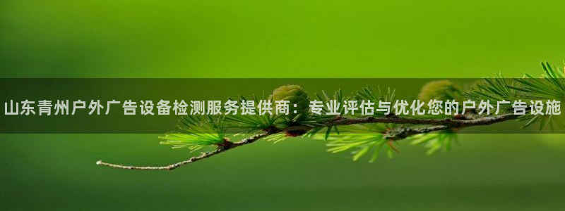 杏宇官方平台官网：山东青州户外广告设备检测服务提供商：专业评估与优化您的户外广告设施