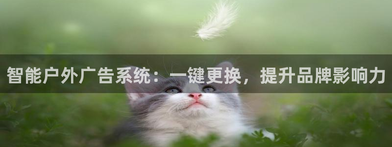 杏宇平台代理多少钱：智能户外广告系统：一键更换，提升品牌影响力