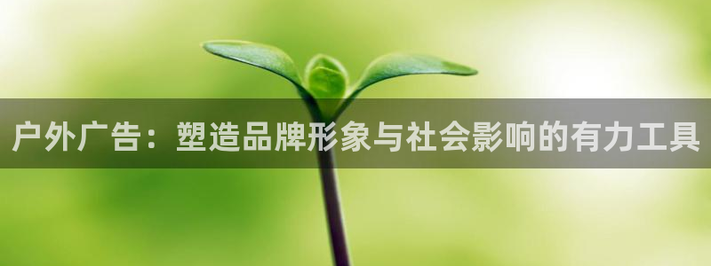 杏宇平台代理：户外广告：塑造品牌形象与社会影响的有力工具