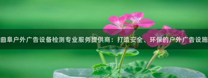杏宇官方平台官网：曲阜户外广告设备检测专业服务提供商：打造安全、环保的户外广告设施