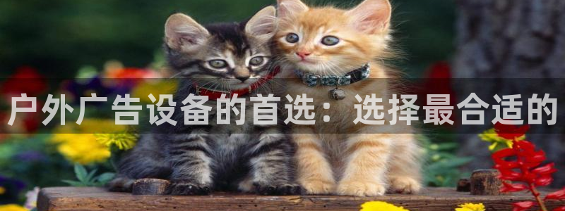 杏宇平台代理怎么赚钱的：户外广告设备的首选：选择最合适的