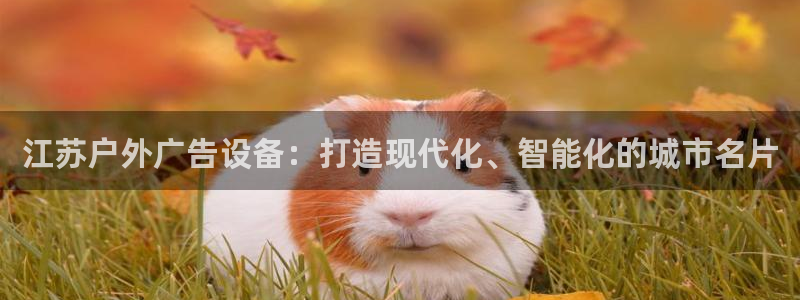 杏宇平台主管：江苏户外广告设备：打造现代化、智能化的城市名片