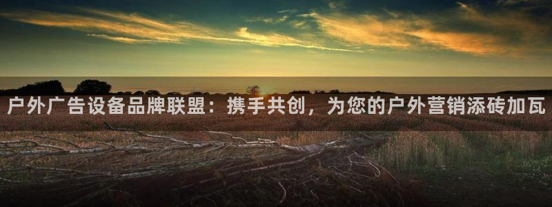 杏宇平台代理多少钱：户外广告设备品牌联盟：携手共创，为您的户外营销添砖加瓦