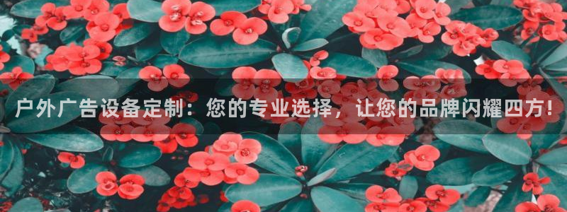 杏宇平台代理多少钱一次