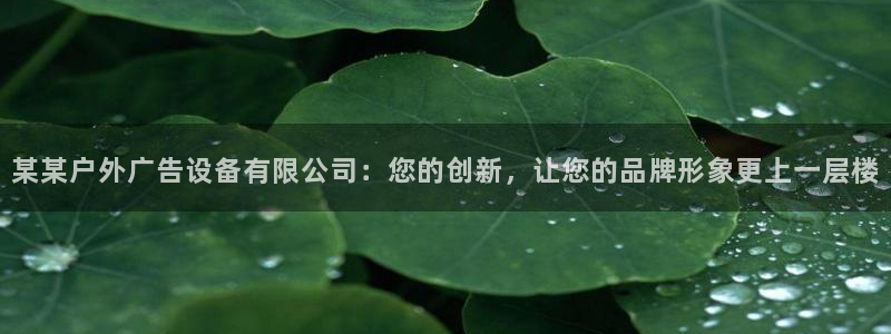 杏宇平台代理多少钱：某某户外广告设备有限公司：您的创新，让您的品牌形象更上一层楼