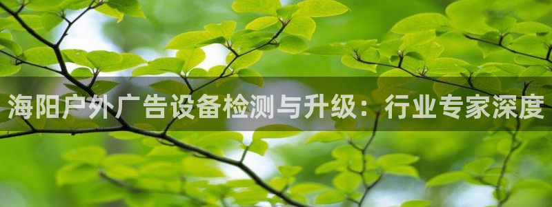 杏宇平台代理多少钱一次：海阳户外广告设备