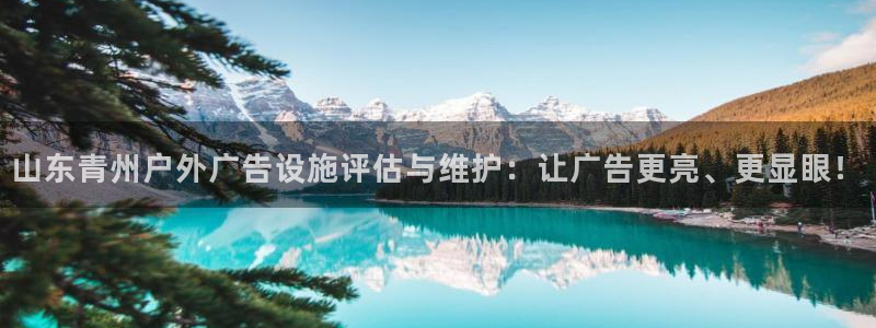 杏宇平台开户：山东青州户外广告设施评估与维护：让广告更亮、更显眼！