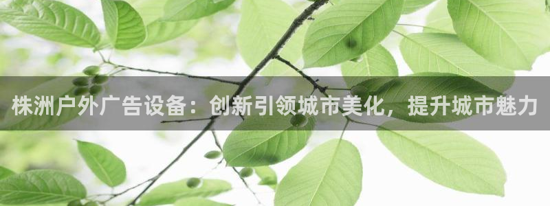 杏宇官方平台官网下载：株洲户外广告设备：创新引领城市美化，提升城市魅力