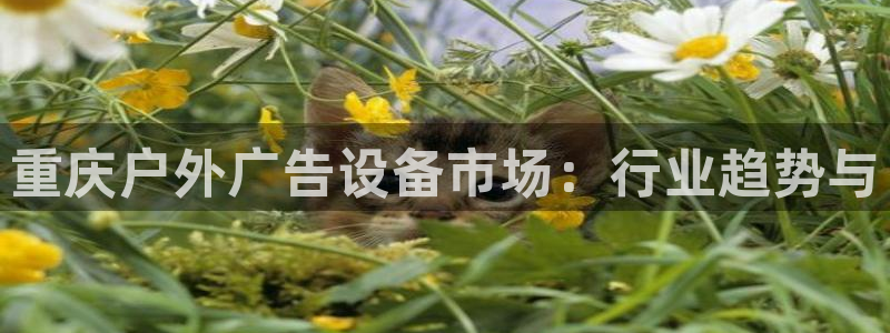 杏宇平台代理多少钱