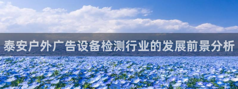杏宇平台总代理是谁：泰安户外广告设备检测行业的发展前景分析
