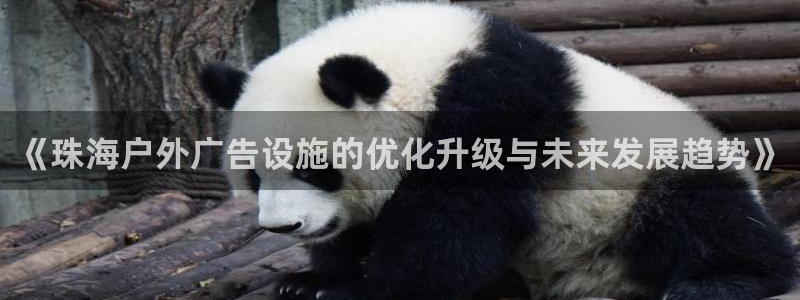 杏宇平台招商怎么样：《珠海户外广告设施的优化升级与未来发展趋势》