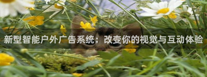 杏宇平台官网注册：新型智能户外广告系统：改变你的视觉与互动体验