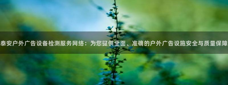 杏宇平台注册登录：泰安户外广告设备检测服务网络：为您提供全面、准确的户外广告设施安全与质量保障
