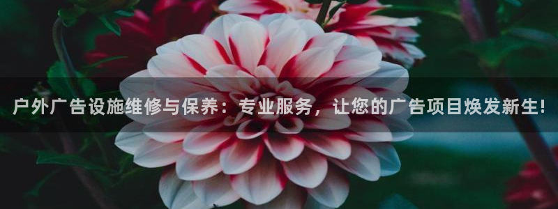 杏宇平台主管：户外广告设施维修与保养：专业服务，让您的广告项目焕发新生!