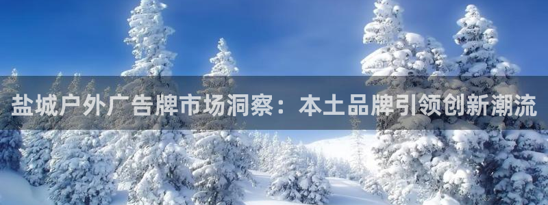 杏宇平台登录步骤图：盐城户外广告牌市场洞察：本土品牌引领创新潮流