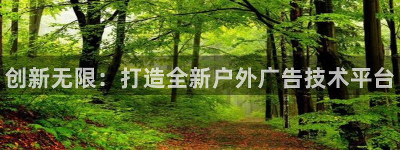 杏宇平台登录步骤图：创新无限：打造全新户