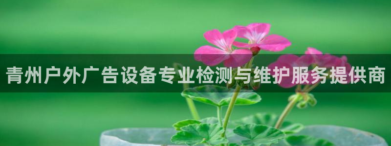 杏宇平台是什么：青州户外广告设备专业检测