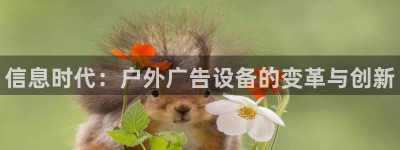 杏宇平台代理多少钱