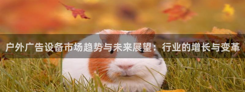 杏宇官方平台官网入口：户外广告设备市场趋势与未来展望：行业的增长与变革