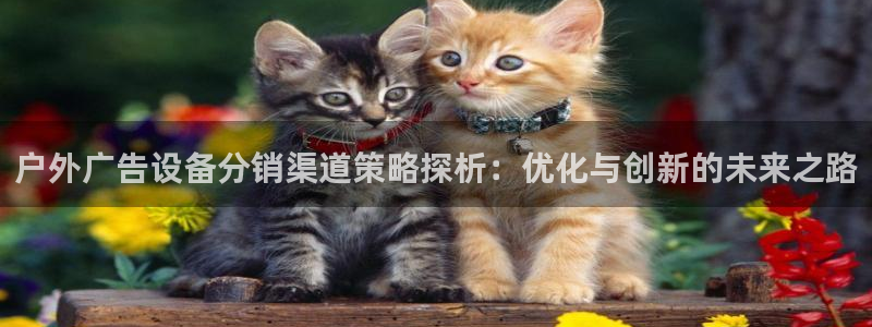 杏宇平台代理多少钱一个月：户外广告设备分销渠道策略探析：优化与创新的未来之路