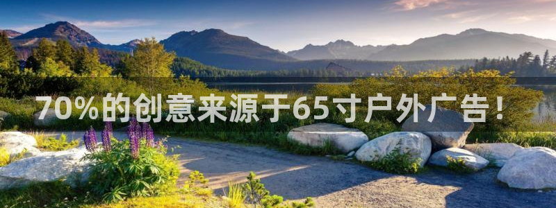 杏宇平台登陆：70%的创意来源于65寸户外广告！