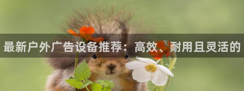 杏宇平台是什么：最新户外广告设备推荐：高效、耐用且灵活的