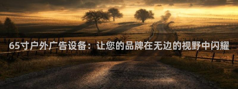 杏宇官方平台官网：65寸户外广告设备：让您的品牌在无边的视野中闪耀