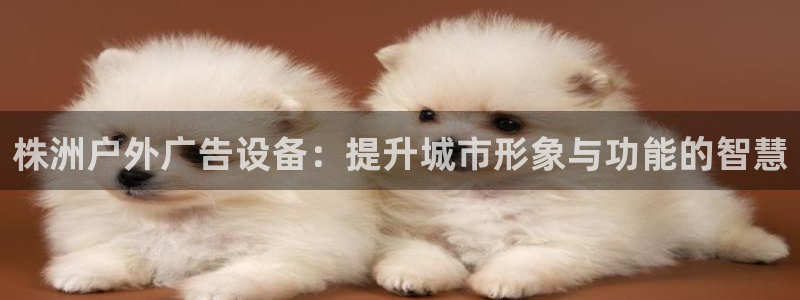 杏宇平台登录步骤：株洲户外广告设备：提升城市形象与功能的智慧
