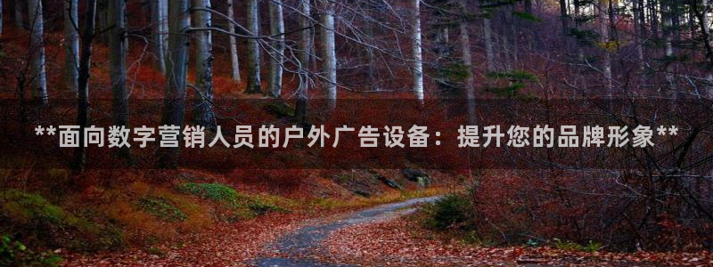 杏宇官方平台官网：**面向数字营销人员的户外广告设备：提升您的品牌形象**
